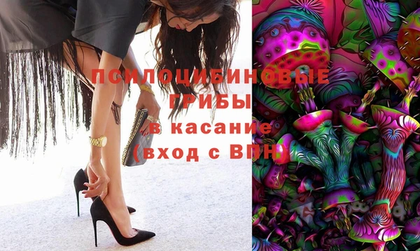 a pvp Дмитриев