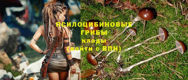 каннабис Гусиноозёрск