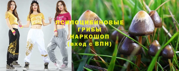 наркотики Гусь-Хрустальный