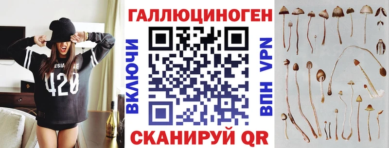 как найти закладки  Губкин  Галлюциногенные грибы Psilocybe 