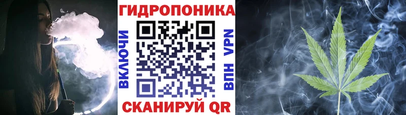 купить  сайты  Губкин  Шишки марихуана конопля 